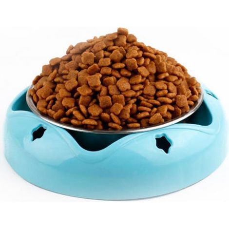 Bol pour animaux de compagnie en acier inoxydable antidérapant Bol pour chat durable (1/5)