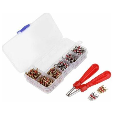 Démonte obus de valve Outil ,Outils pour Valves de Pneus Valve Core Remover et 242pcs Valve Core (1/5)