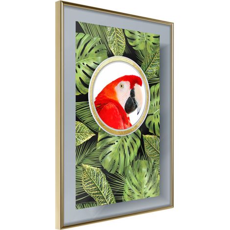 Affiche Murale Encadrée "Parrot Says Hi" 30 x 42 cm Or