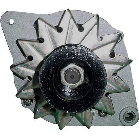 Compatible avec l'alternateur modèle Allis Chalmers 17000510, alternateur de tracteur robuste, avec des performances de charge. (1/5)