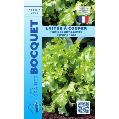 Laitue à couper feuille de chêne blonde à graine noire - 4g