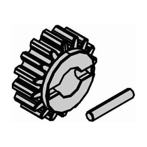 6020070 Xric Pinion Z16 M4 Pour Falcon 15-20 Genius 6020070 Automatismes