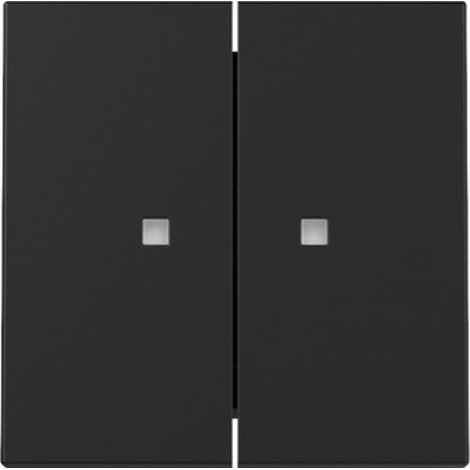 Gira Wippe 2f Kontrollf. System 55 Schwarz m [3631005], 3631 005