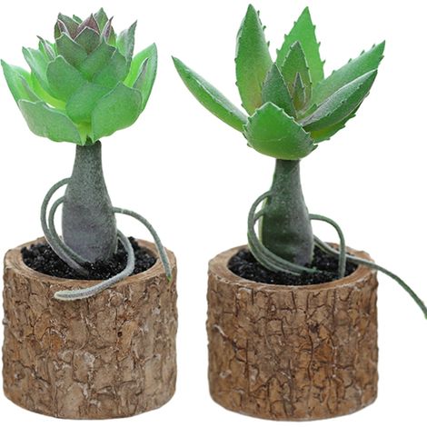 Plante Succulente Artificielle - Pot Bois Naturel - Décoration Intérieure - Résistante aux Intempéries - 2 Pièces (1/5)