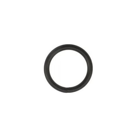 O-Ring für Entleerschraube für Speck Bettar