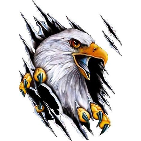 3D Car Decoration Sticker, Eagle Animal Car Sticker, Adhesive Vinyl Decal, Car Body Sticker, Scratch Occlude Bumper Sticker, Right (1/5)