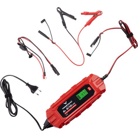 Caricabatterie automatico, rigenerazione della batteria, test, vorstahl 100W/6A (1/5)