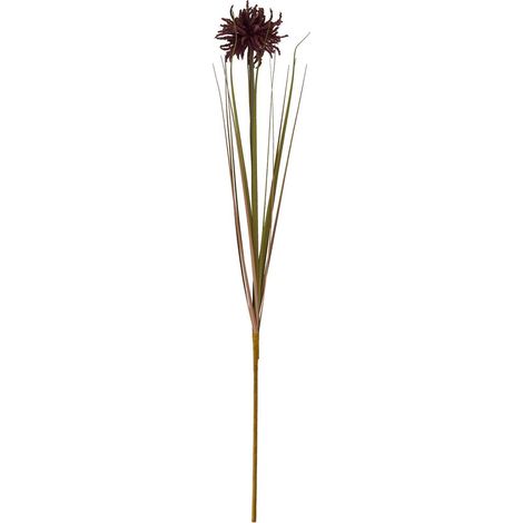 Chrysanthème Aster Araignée de Hill Interiors, fleur artificielle bordeaux-AquaForge (1/4)