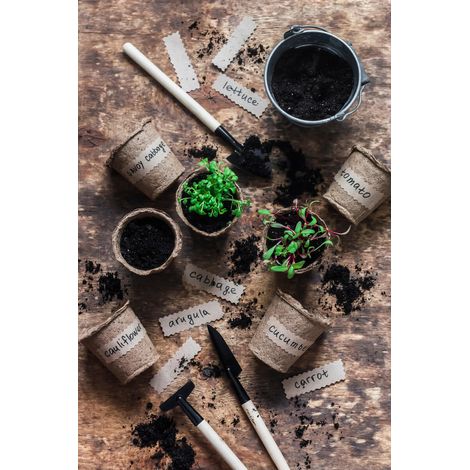 Tableau sur toile aromates 30x45 cm - Impression sur Toile Murale Décorative - Image imprimée en HD sur Toile - Toile sur Châssis en Bois FSC - Fabriqué en France (1/5)