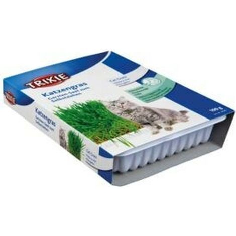 TRIXIE Hierba gatos con Bandeja 100g
