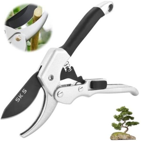 Professionelle Gartenschere, ideal für den präzisen Rückschnitt von Obstbäumen und Weinreben. (1/5)