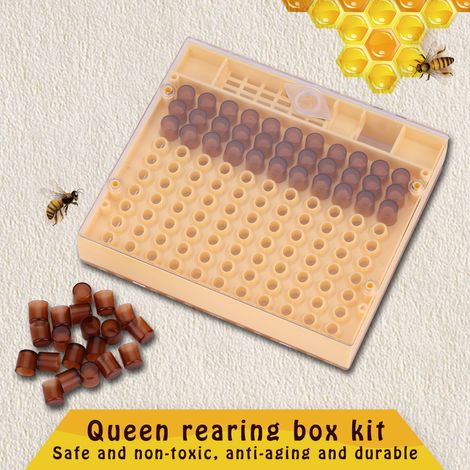 Kit d'élevage de reines, outil d'apiculture, ensemble de cages apicoles en plastique (1/5)
