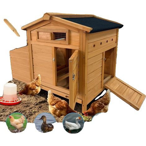 Poulailler, Bois Massif, 48 x 30 x 36 Pouces, Convient pour 4-6 Poules, Résistant aux Intempéries, Design Facile à Nettoyer (1/5)