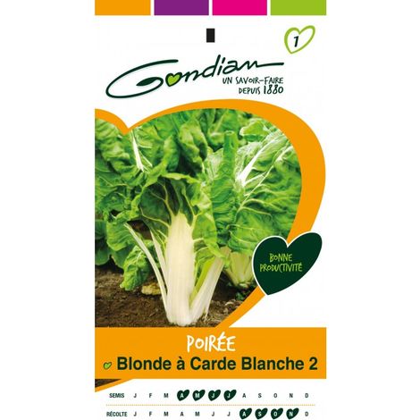Gondian - Poirée Blonde a Carde Blanche 2 (1/3)