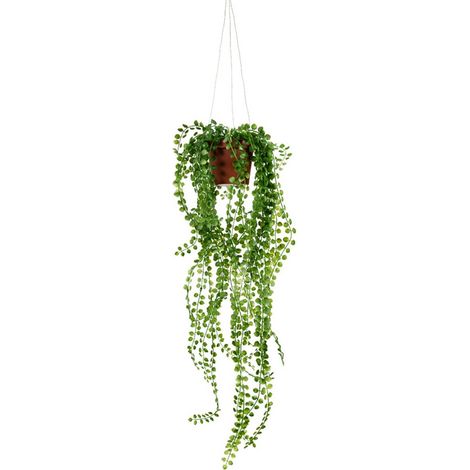 Pilea artificiel en pot suspendu L 55 cm, D 18 cm