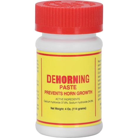 Enthornungspaste für Rinder – Lösung zur Enthornung von Nutztieren – Produkt zur Hornentfernung