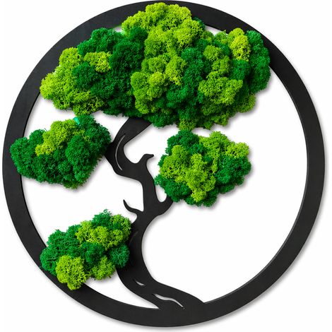 Árbol bonsái de musgo (1/5)