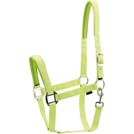 Horse Guard Nylonhalfter für Pferde - lime - Kaltblut (1/2)