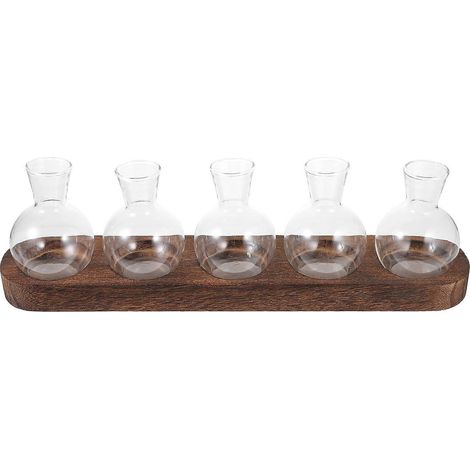 1 Set Desktop Glass Planter with Base Glass Vase Plants Terrarium for Home Office Decoration (1/5)