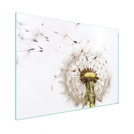 GLASSCHUTZPLATTE FÜR HERD 70x52 BLUME (1/5)