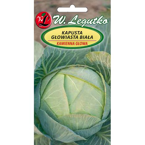 semi tardivi di cavolo bianco a testa di pietra (1/2)