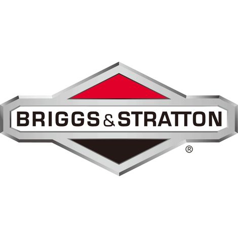 BRIGGS & STRATTON Rasenmähermotor Kraftstofffilter 825219
