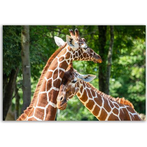 Tableau girafes complices en forêt (1/5)