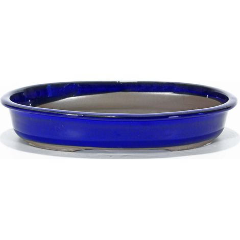 Vaso bonsai ovale smaltato blu 28 cm (1/2)