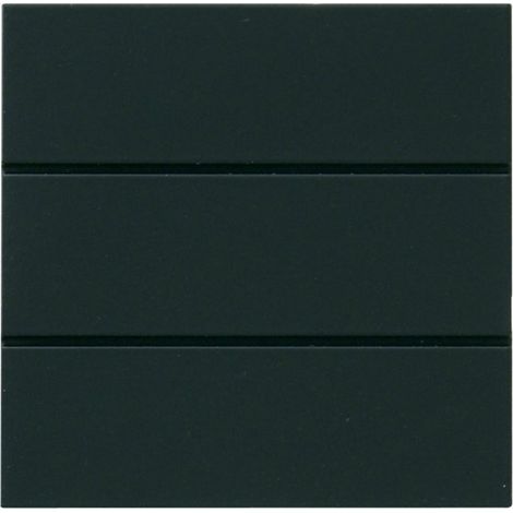 Rev ritter 0544374551 archiTaste radio-interrupteur a bascule
