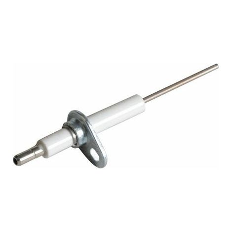Fröling Electrode d'ionisation (1/3)