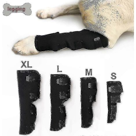 Protège-patte canin anti-mordillement et soutien articulaire, étui de jambe réutilisable pour chien, prévention du léchage, confort et protection des membres.