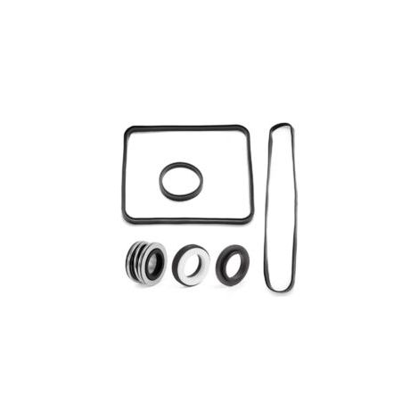 Kit de Réparation de Joint Torique de Joint de Pompe de Piscine pour un Entretien Régulier et des Réparations Rapides Compatible avec Hayward Super Pump SP2600 SP1600 (1/5)