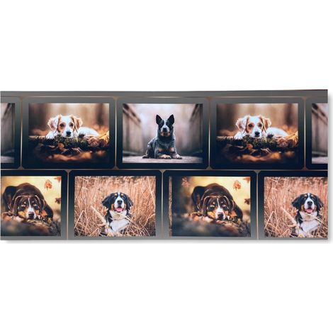 TAPPETO Runner da CUCINA Passatoia Antiscivolo CANE Cani Made in Italy Cm. 50x260