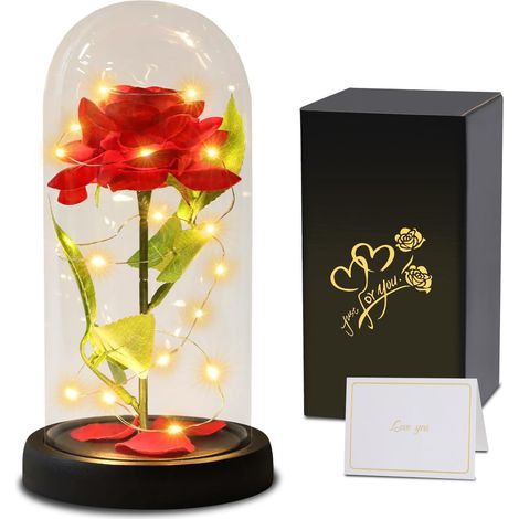 Cadeaux de Fête des Mères pour Femmes - Rose Eternelle sous Cloche avec LED, Fleur Eternelle sous Cloche, Rose Cadeau pour Femme Maman Mère Grand-mère,Rose Enchantée Idee Cadeau pour Anniversaire (1/5)
