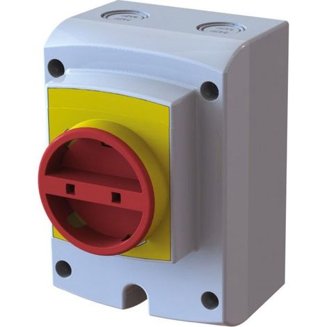 Interrupteur de proximité 3 pôles 32A – Installation facile avec platine amovible – IP66 – Compatible norme IEC 60947-3 – Salina (1/2)