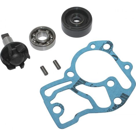 wasserpumpe p2r für roller yamaha 50 aerox neu