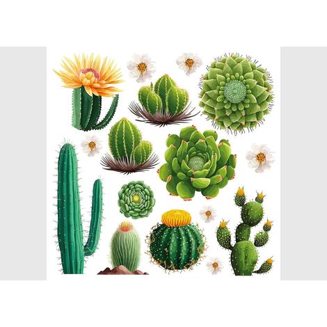 Stickers - Cactus - 1 planche 30x30cm (1/5)