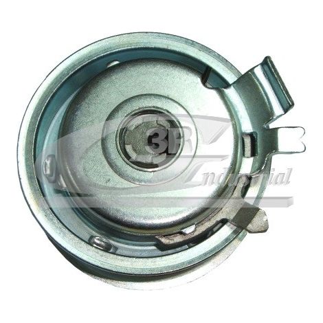 3RG 13738 RODILLO TENSOR