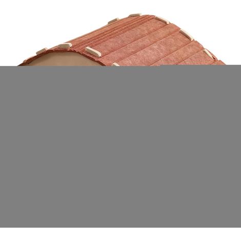 Alimentador de Golosinas para Perros, Dispensador de (1/5)