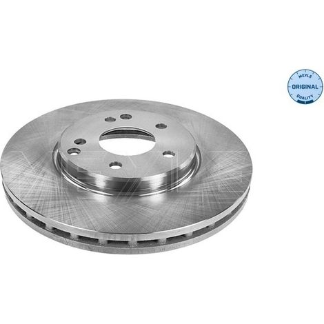 Lot de 2 Disques de frein Meyle 015 521 2044 CHRYSLER 203 421 05 12 5098063AA
