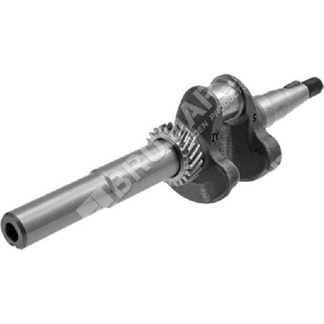 Cigüeñal para cortacésped DAYE - DAYEE Y2410000100 - 023533
