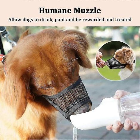 Filiyano-Muselière pour chien en maille douce et respirante, ajustable pour chiens de petite et moyenne taille - Chihuahua, Caniche, Husky (Labrador) (1/5)