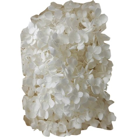 Farfi 20g/Box Trockenblumen, keine Bewässerung nötig, dekorative, frisch haltende künstliche Hortensienblüten, Geschenkbox-Set, Heimdekoration für das Wohnzimmer-White