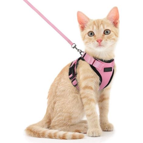 Dailygoods - Arnés ajustable para gatos - Arnés con correa para gatos de 150 cm (1/5)