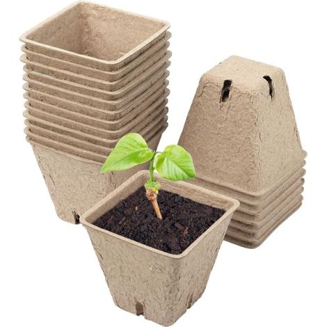 Pots de Culture 50 pièces en cellulose Hauteur : 6 cm Biodégradable Pot de Culture Pots de Culture