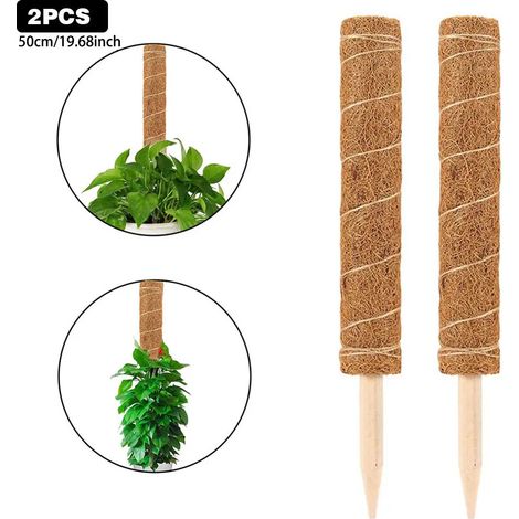 Support pour plantes en forme de bastn de fibre de coco en (1/5)