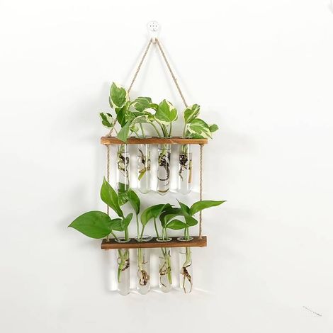 Mini vase tube à essai hydroponique - Pour bouturage, décoration jardin et cadeau plante