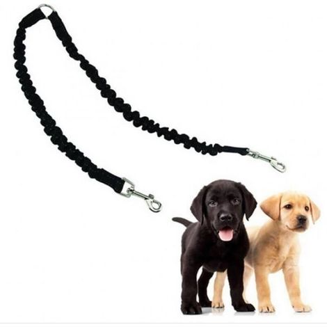 Laisse pour Chien - BH - Réglable - Mains-libres - Nylon - Couleur Noir