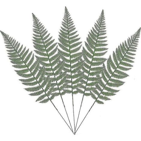 10 arbustes artificiels de fougère de Boston avec feuilles artificielles, plantes vertes XD2458-28 (1/5)