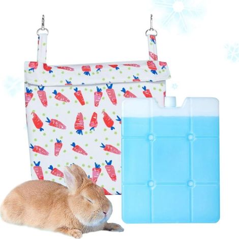 Tapis Rafraîchissant pour Animaux - Tapis Frais Lapin et Chiot - Résistant (1/5)